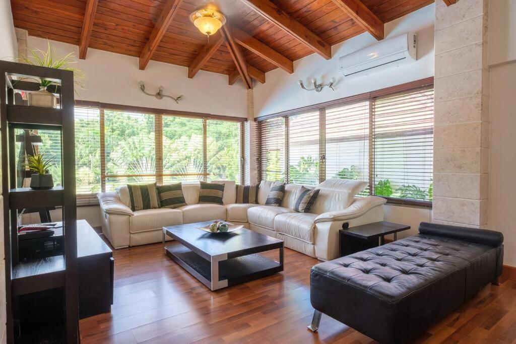 Villa Monarca, 4 Minutes Away From Minitas ラ・ロマーナ エクステリア 写真